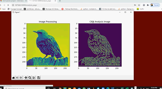 Automatic Bird Species Identification Using Deep Learning