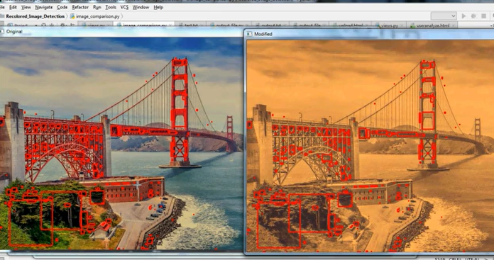 Recolored Image Detection via a Deep Discriminative Model